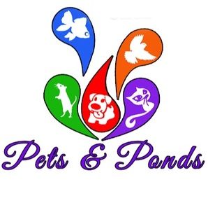 Meet your Posher, Bill